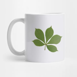 green chestnut leaf, real plant Mug